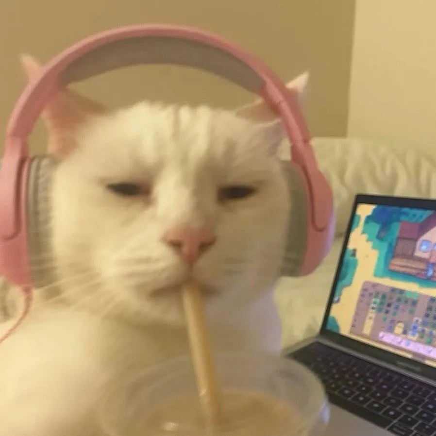 情头｜电竞小猫头像