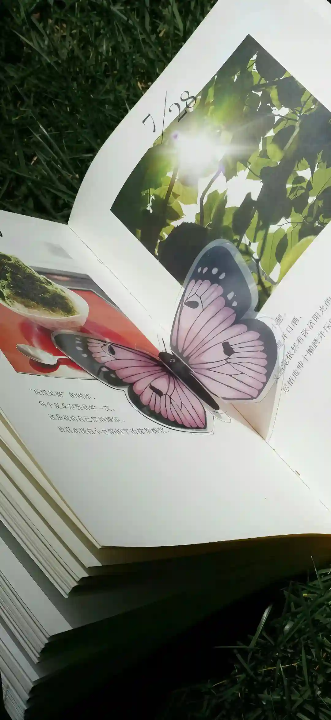 壁纸 ​​​​​​​​​​​​​| 𝐖𝐚𝐥𝐥𝐩𝐚𝐩𝐞𝐫全屏壁纸
