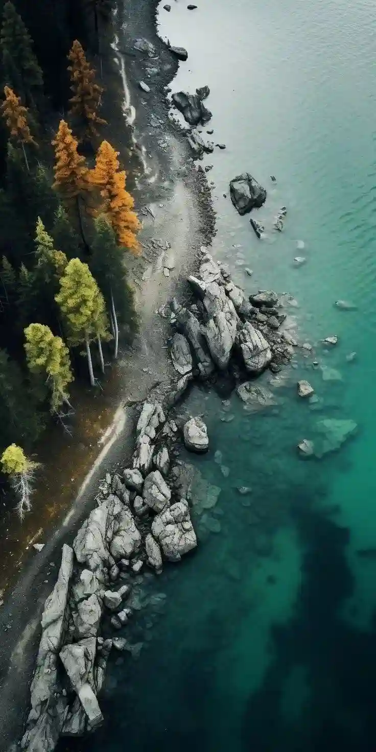 壁纸 | 手机高清壁纸