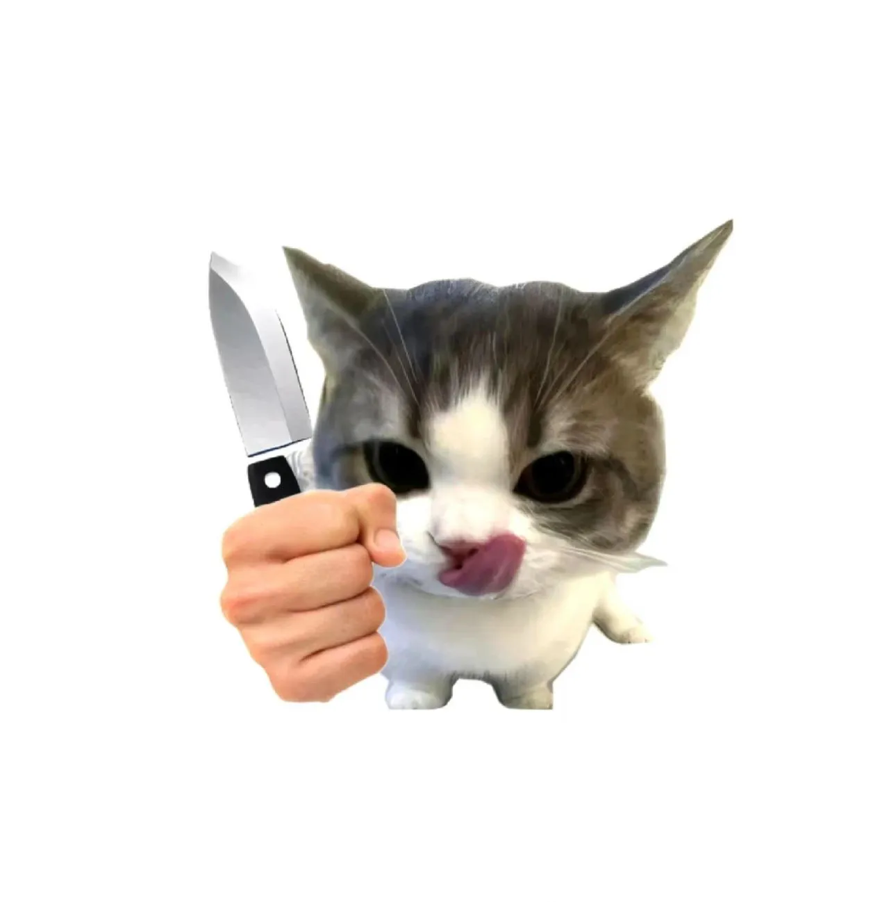头像｜高清小猫头像
