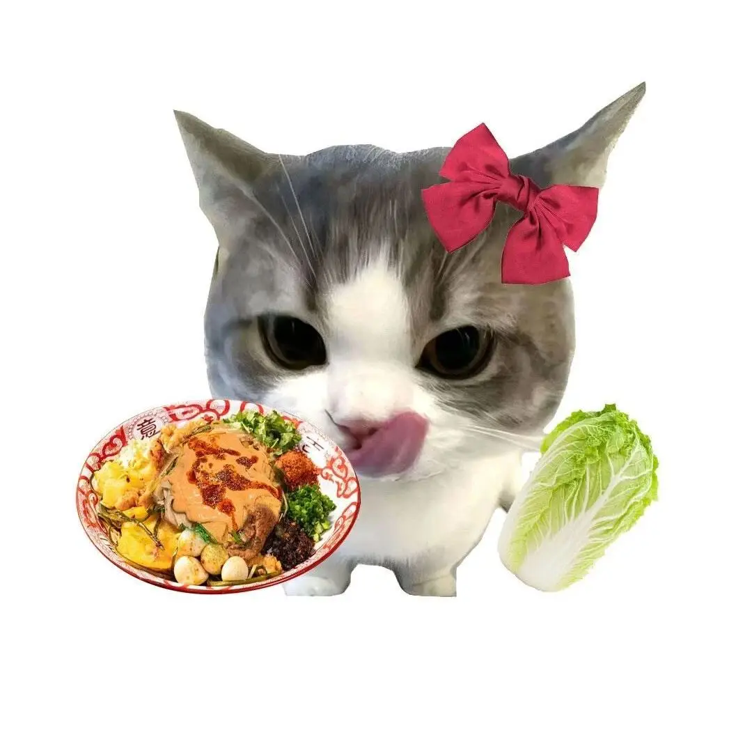 头像｜高清小猫头像