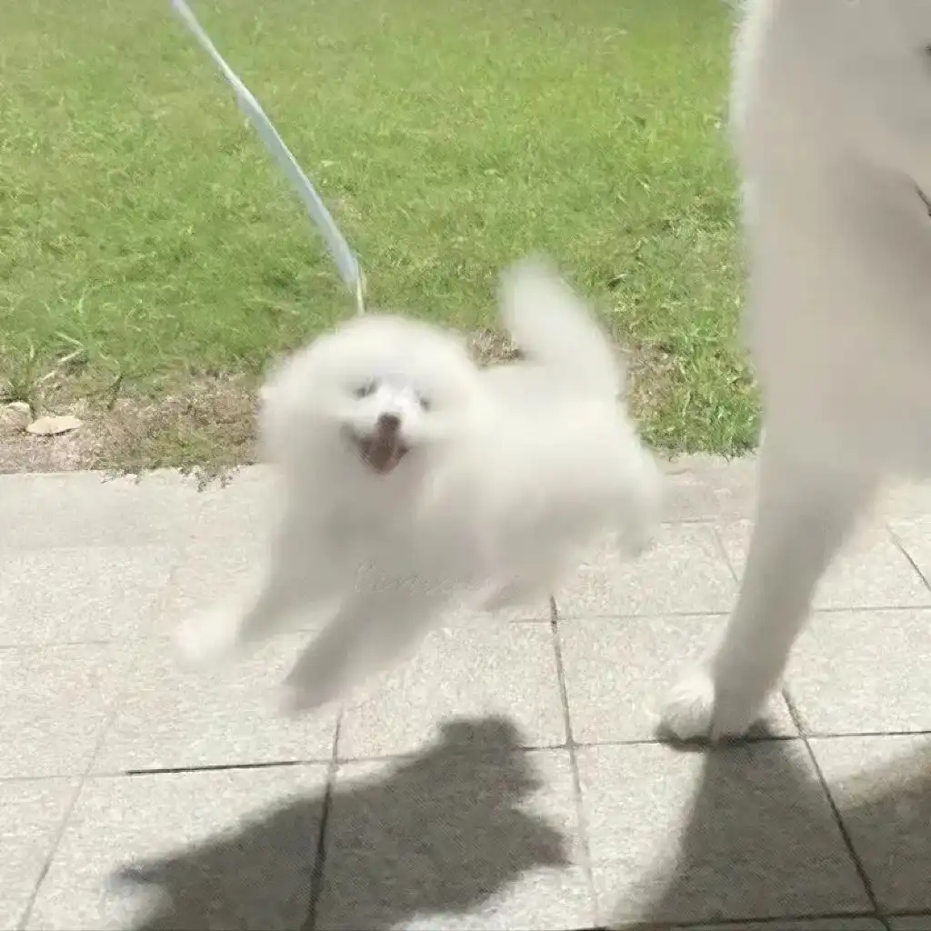 头像｜好看的微信头像又又又增加了～