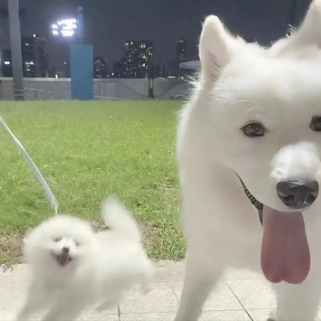 头像｜好看的微信头像又又又增加了～