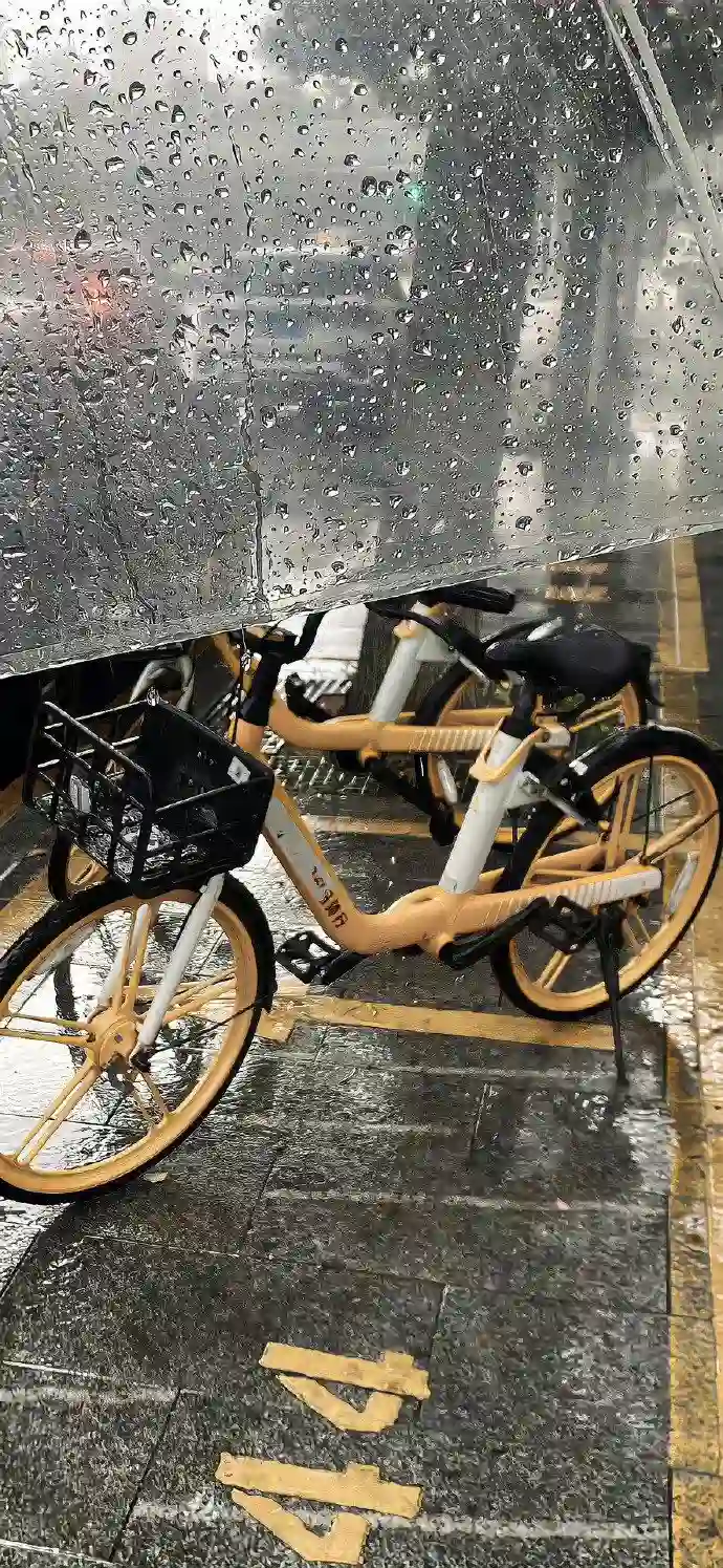 壁纸 ​​​​​​​​​​​​​| 手机壁纸8K超清画质