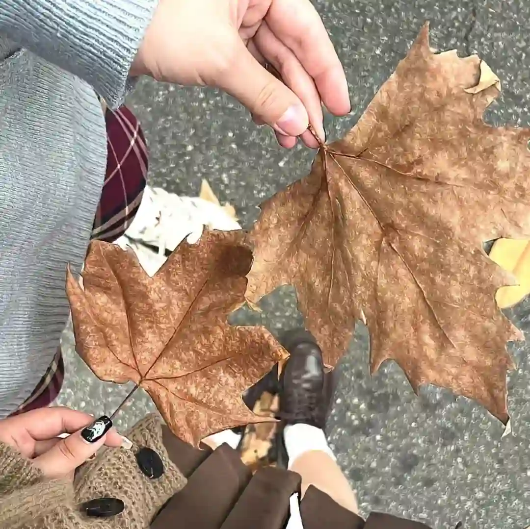背景图 | 𝑾𝒆𝑪𝒉𝒂𝒕背景图
