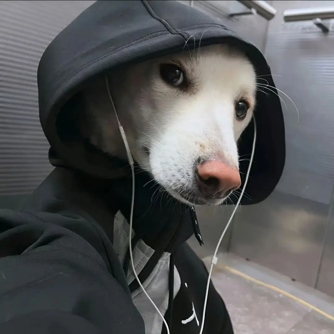 头像 | 小众搞怪头像