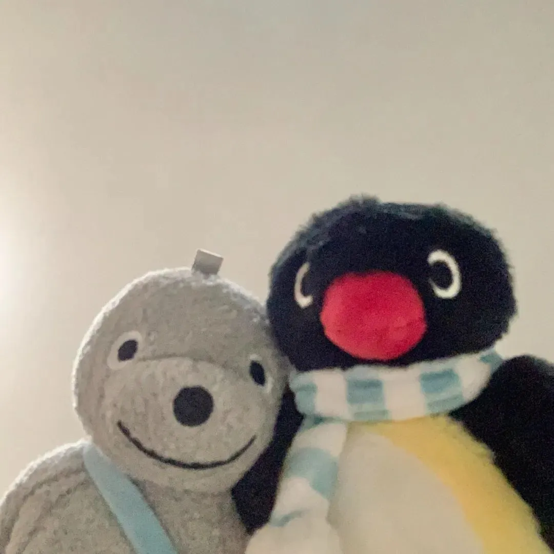 头像丨pingu萌萌头像