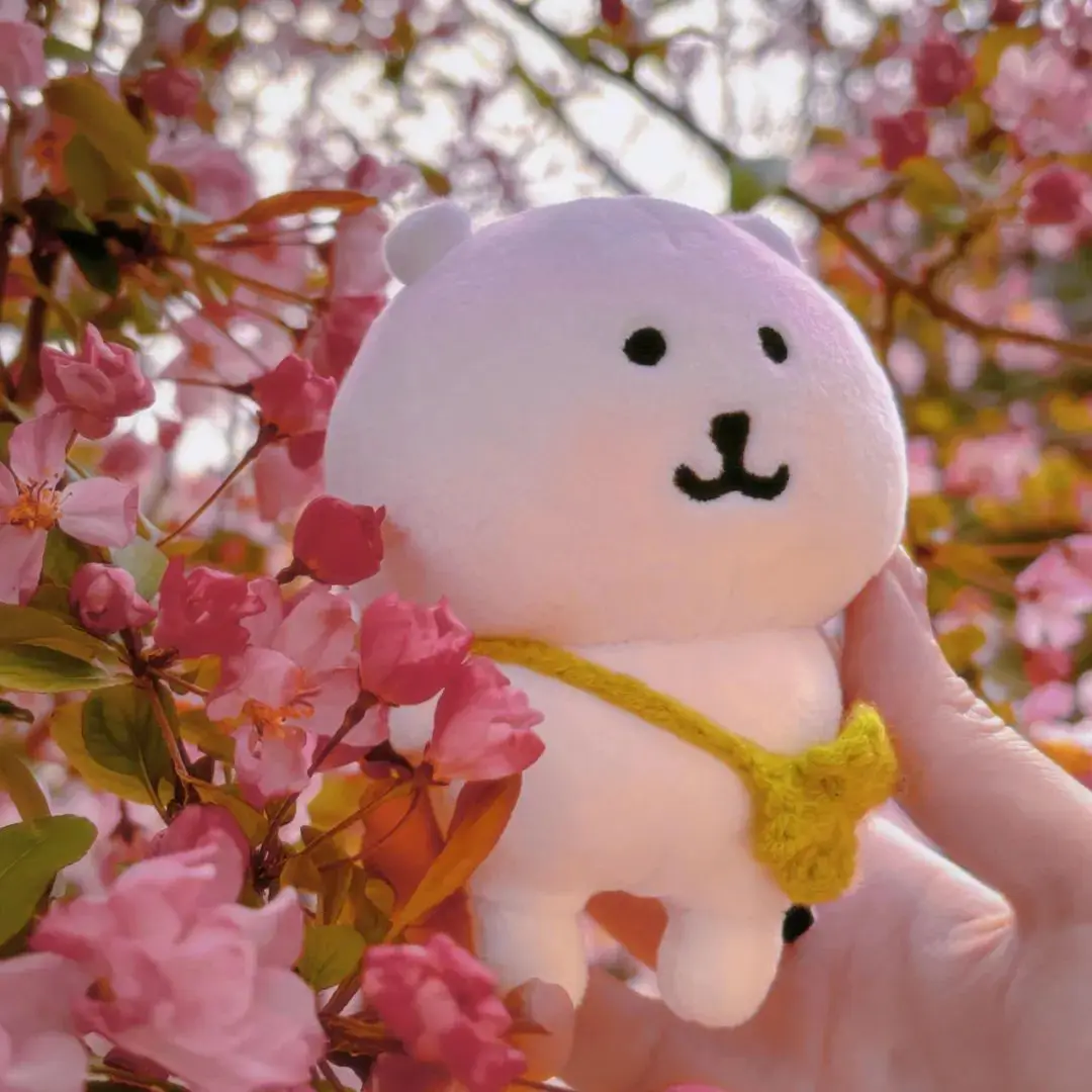 头像｜微信头像该换啦