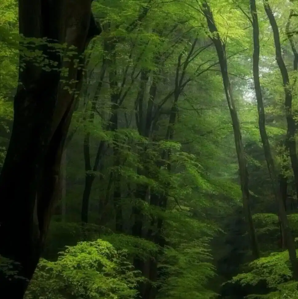 背景图 |  𝑾𝒆𝑪𝒉𝒂𝒕背景图