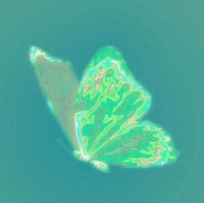 头像丨简约头像：蝴蝶