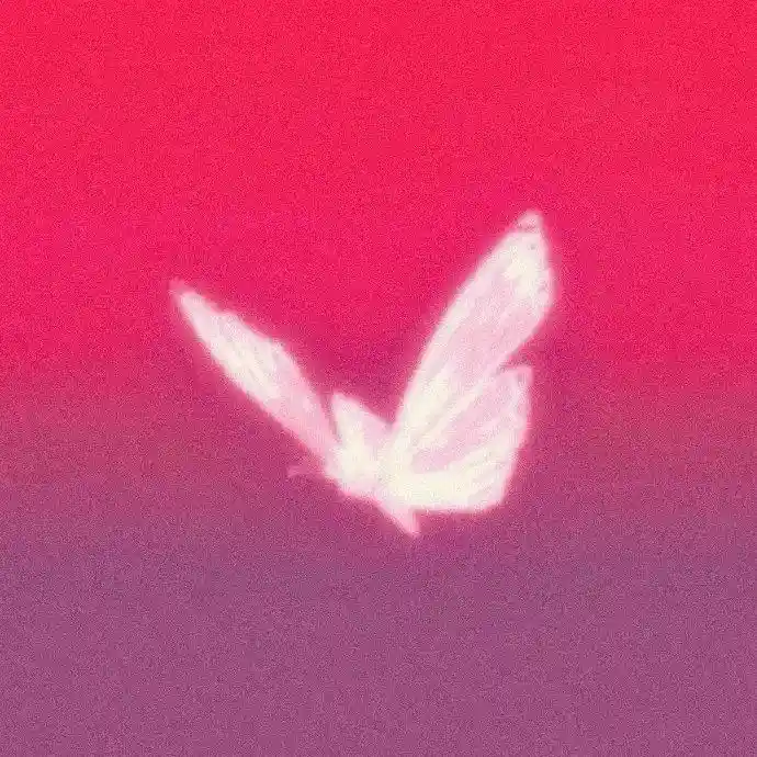 头像丨简约头像：蝴蝶