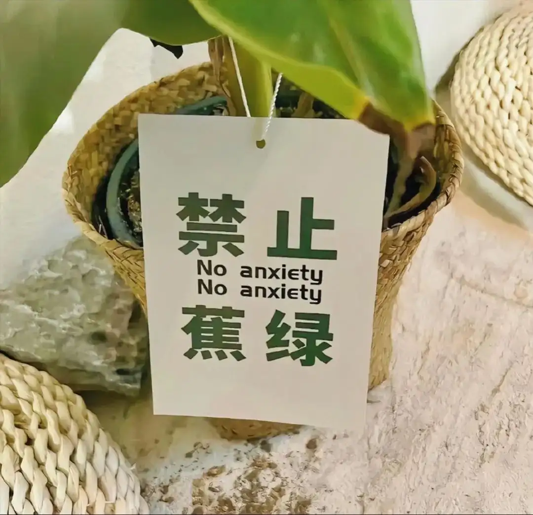 背景图 | 换上一张喜欢朋友圈背景图吧