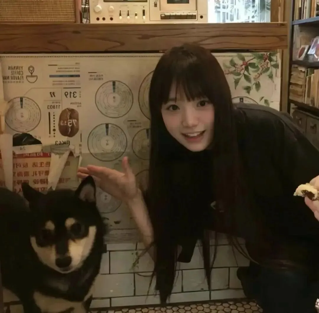 头像｜秋日氛围感𝙒𝙚𝘾𝙝𝙖𝙩头像
