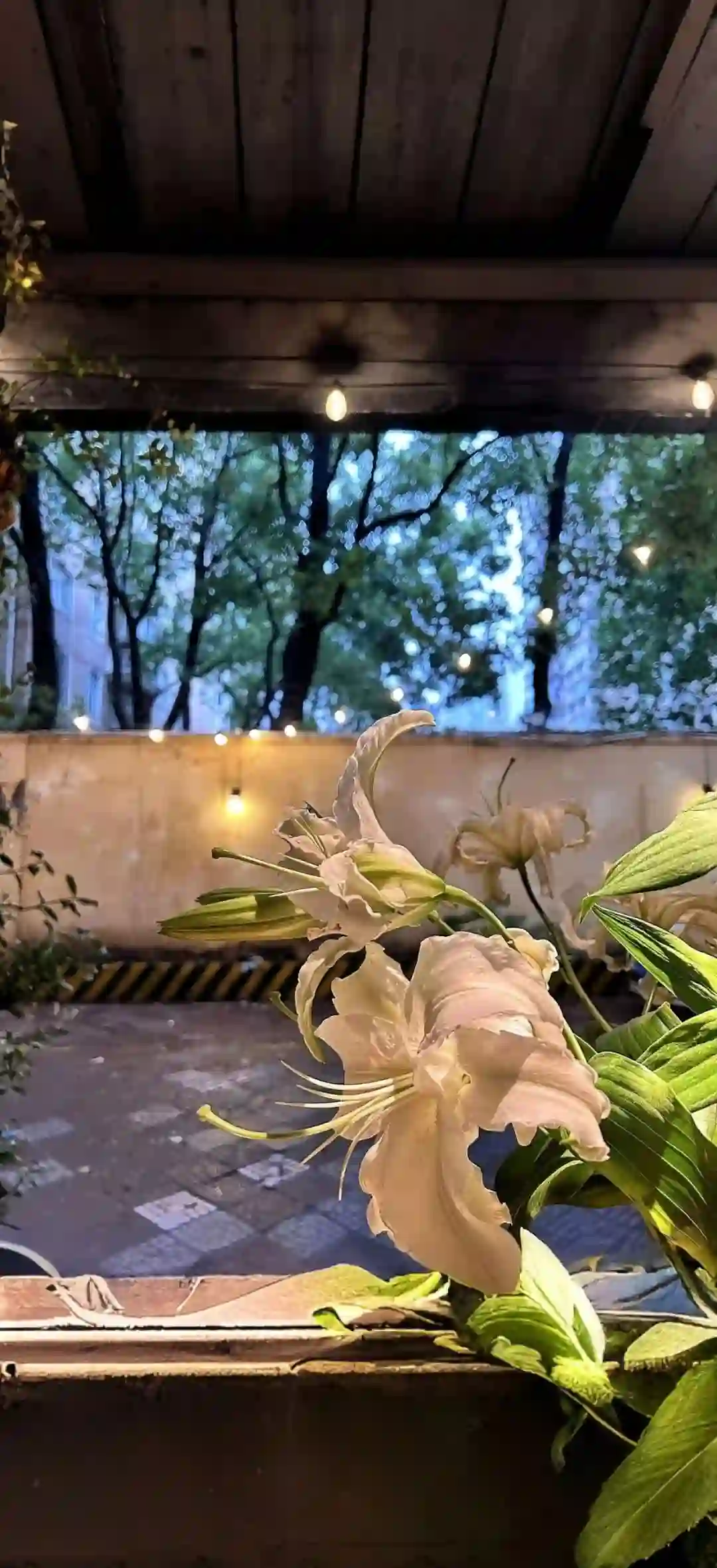 壁纸 ​​​​​​​​​​​​​| 手机壁纸8K超清画质