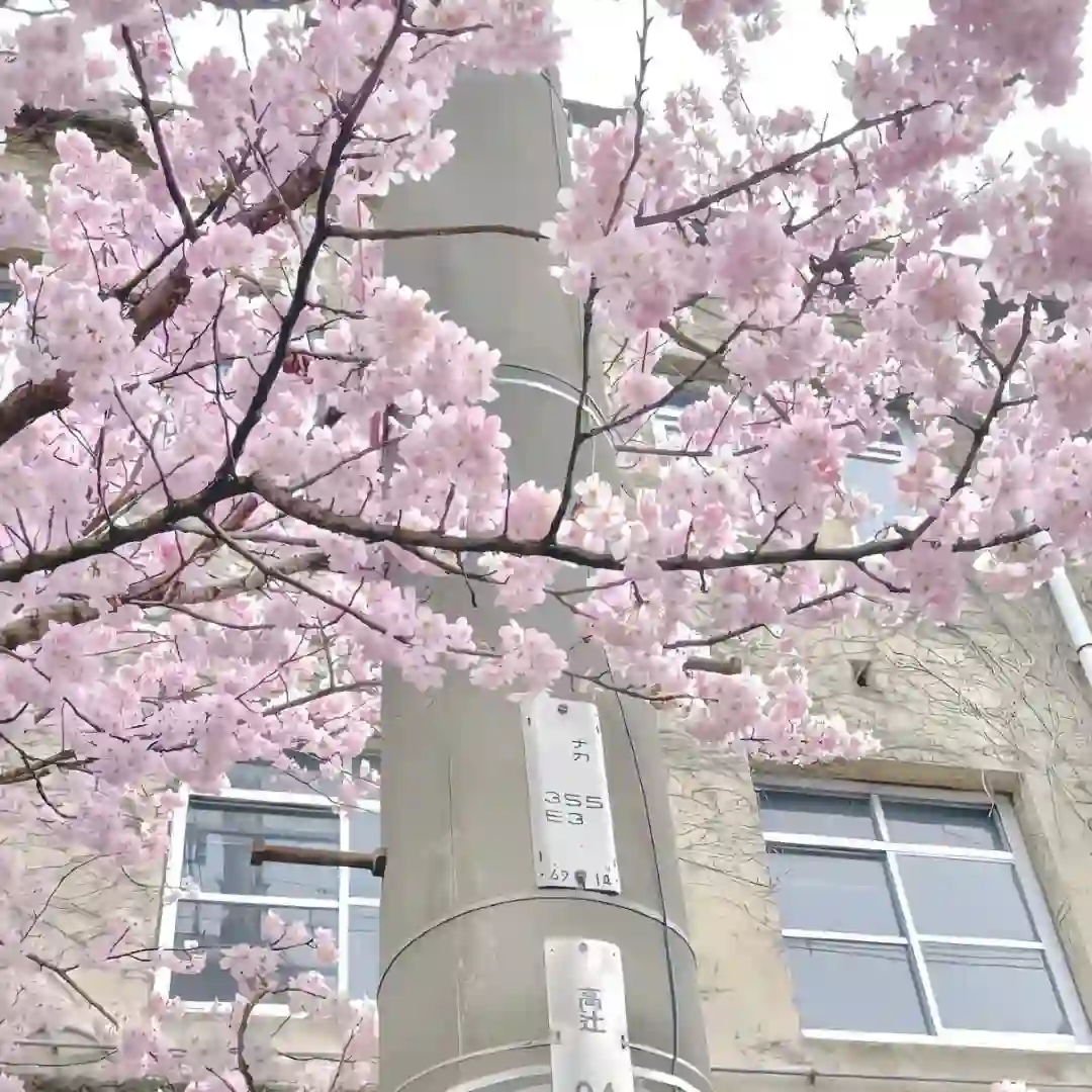 背景图 | 𝑾𝒆𝑪𝒉𝒂𝒕背景图