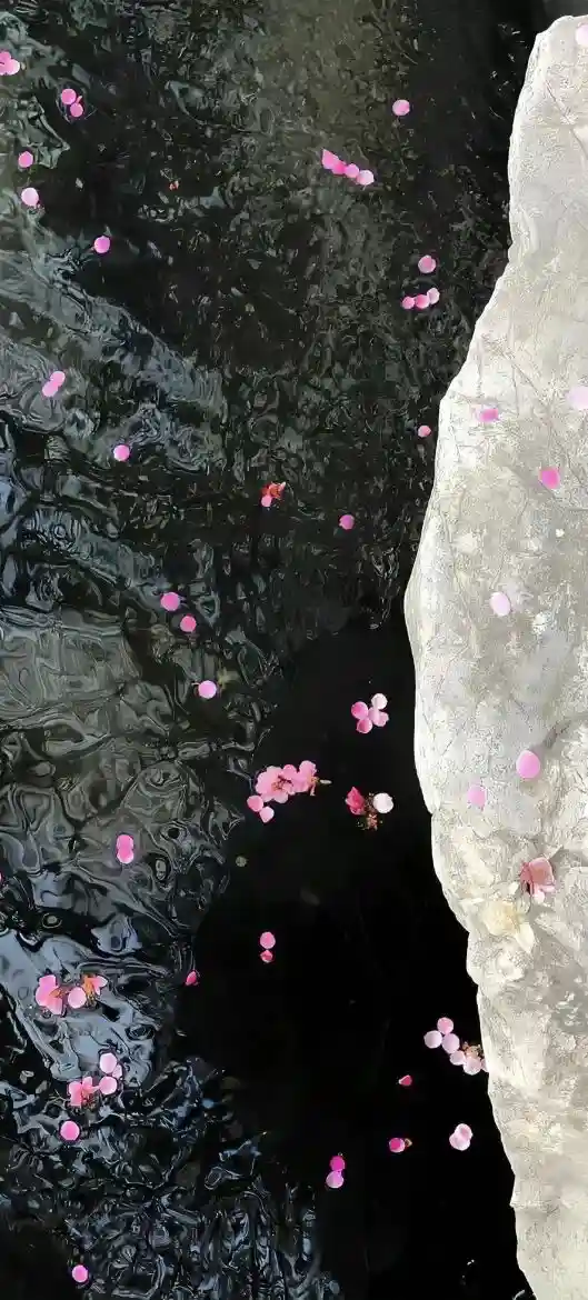 壁纸 ​​​​​​​​​​​​​| 手机壁纸8K超清画质