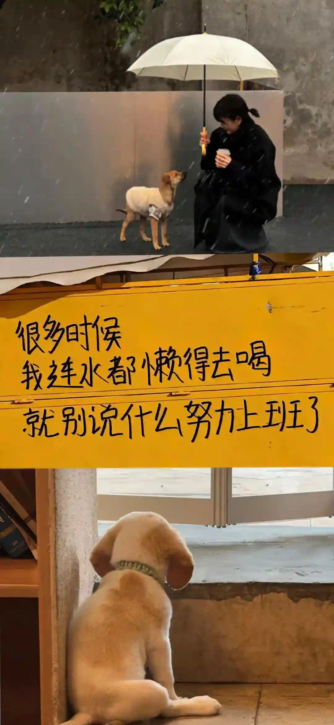 壁纸 ​​​​​​​​​​​​​| 手机壁纸8K超清画质