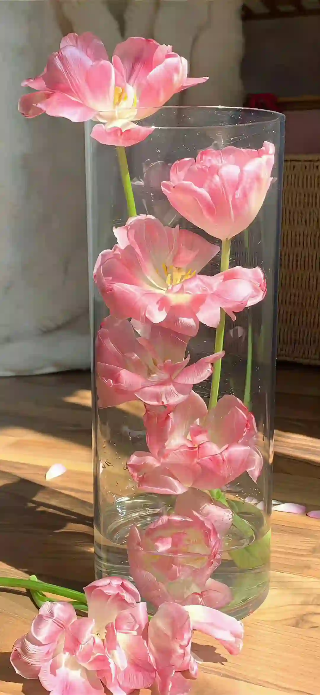 壁纸 ​​​​​​​​​​​​​| 手机壁纸8K超清画质