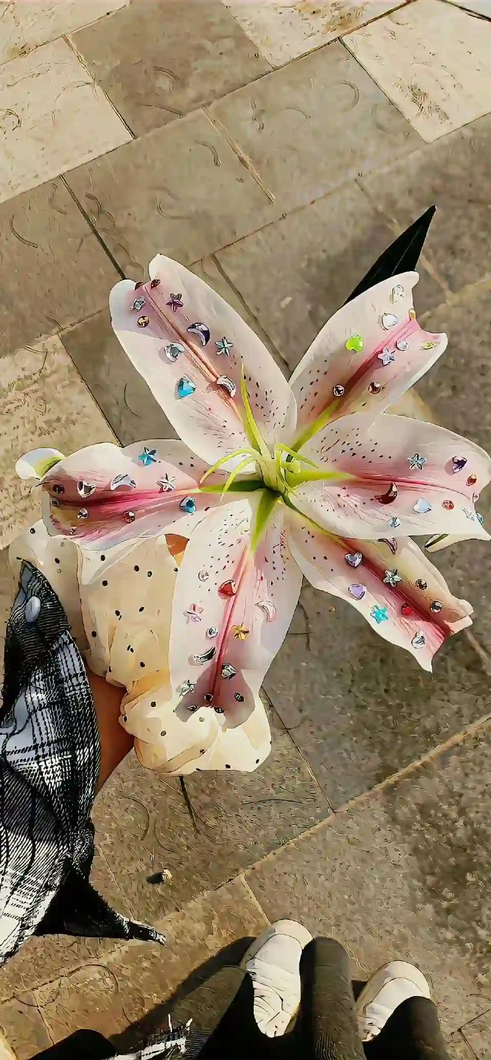 壁纸 ​​​​​​​​​​​​​| 手机壁纸8K超清画质