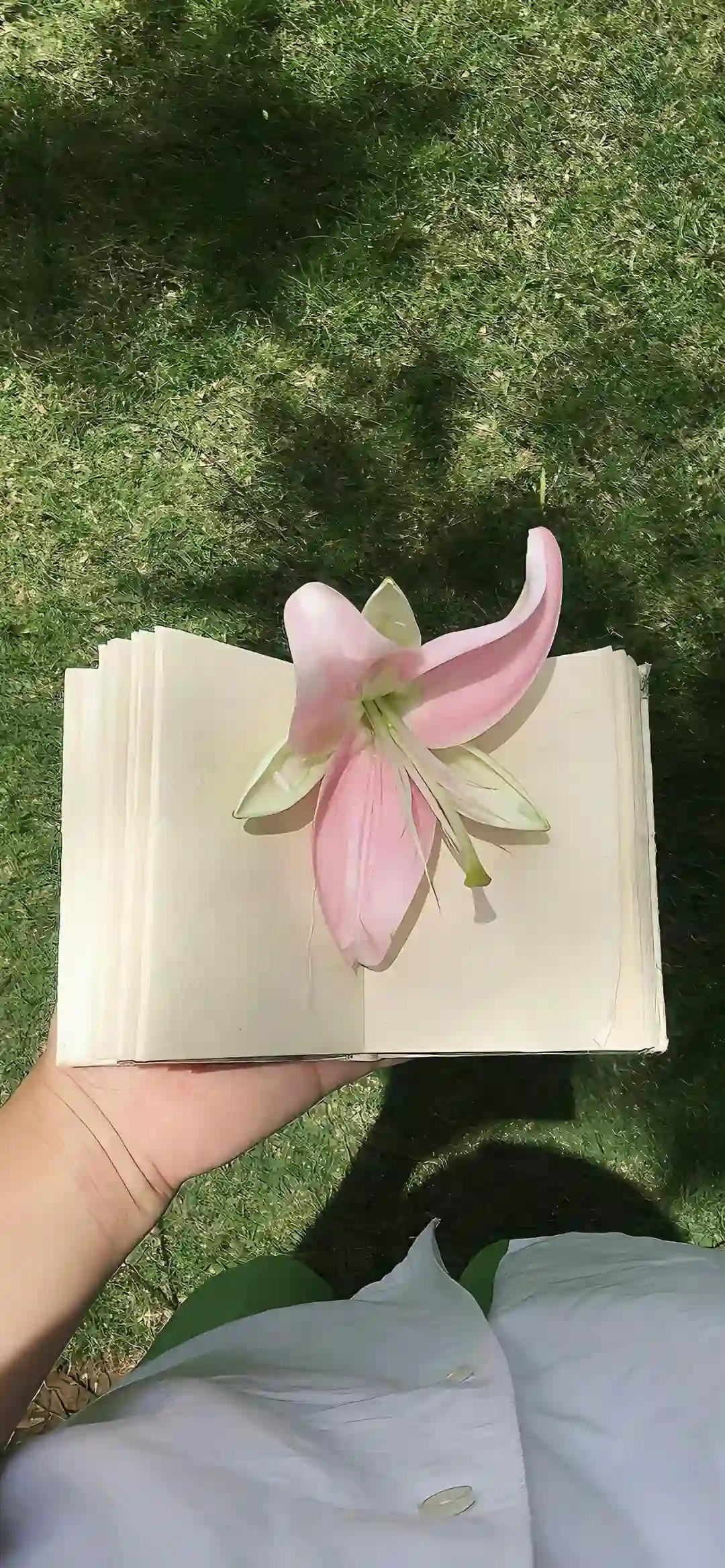 壁纸 ​​​​​​​​​​​​​| 手机壁纸8K超清画质