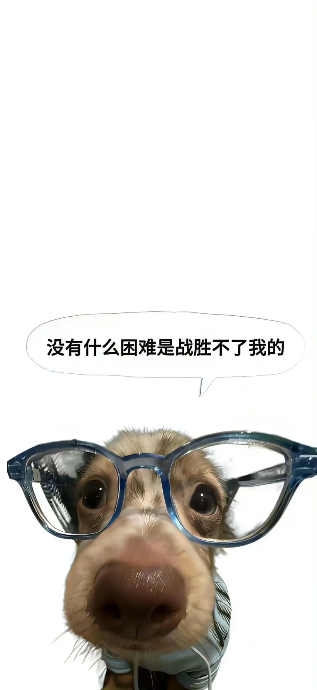 壁纸 ​​​​​​​​​​​​​| 手机壁纸8K超清画质