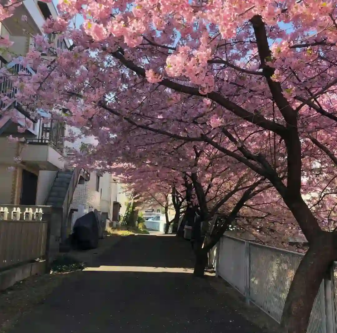 背景图 |  𝑾𝒆𝑪𝒉𝒂𝒕背景图