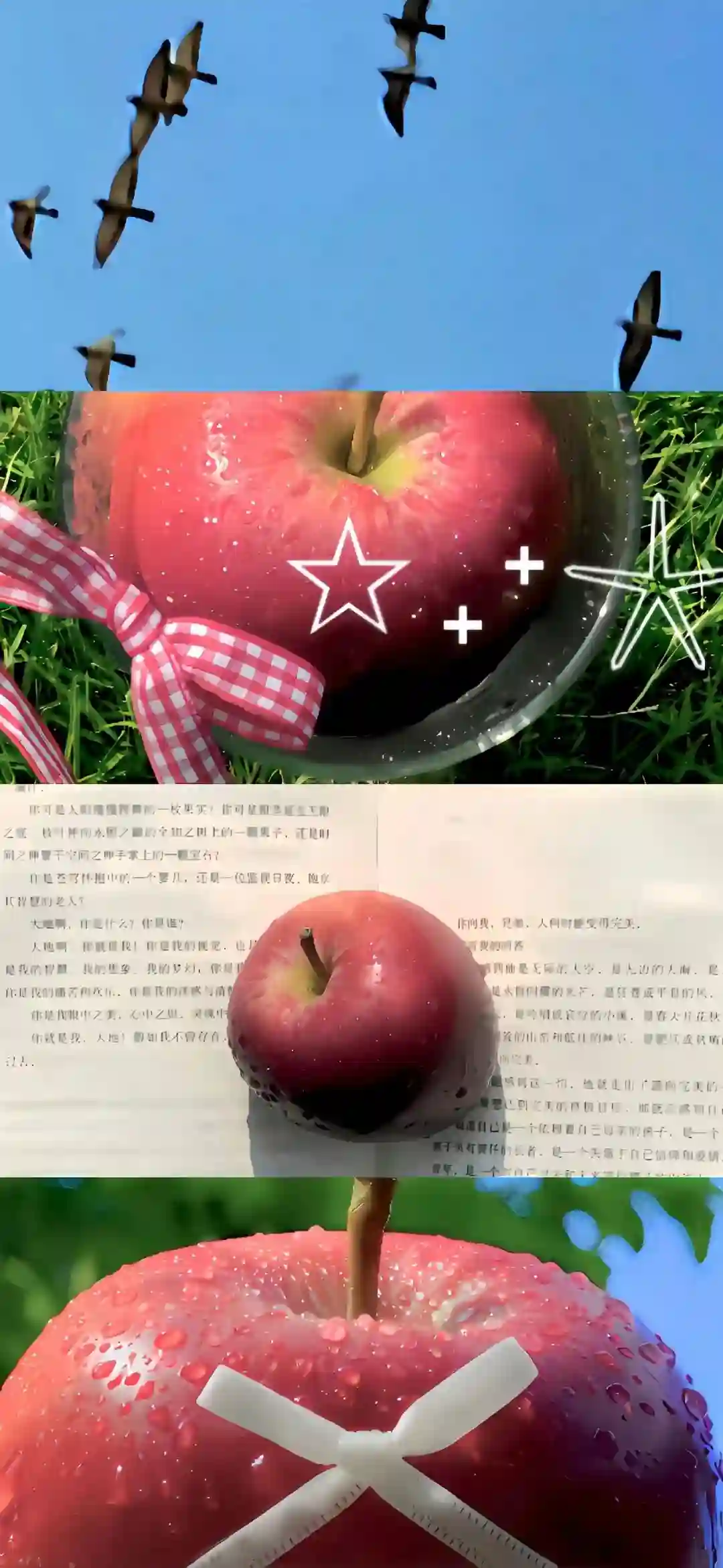 壁纸 ​​​​​​​​​​​​​| 手机壁纸8K超清画质