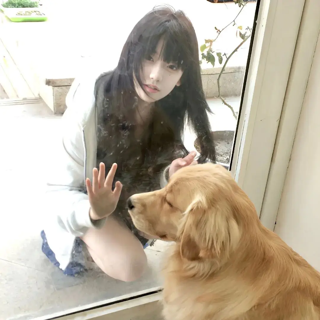 头像｜小众氛围感头像