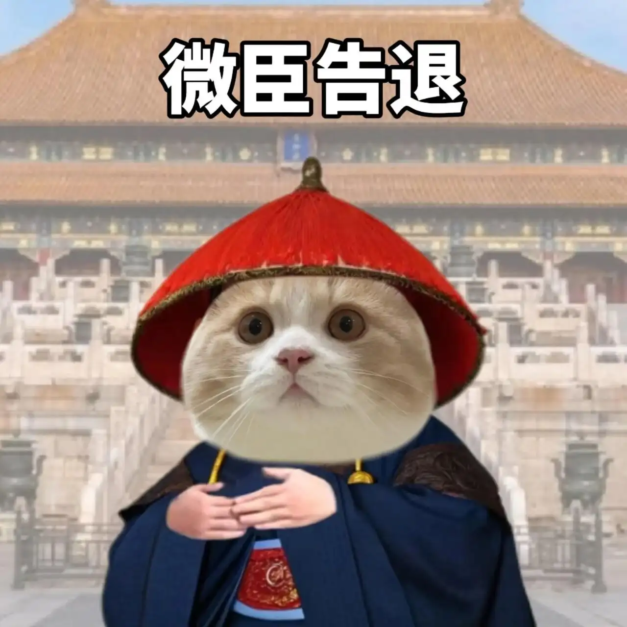 表情包 | 和领导沟通必备表情包