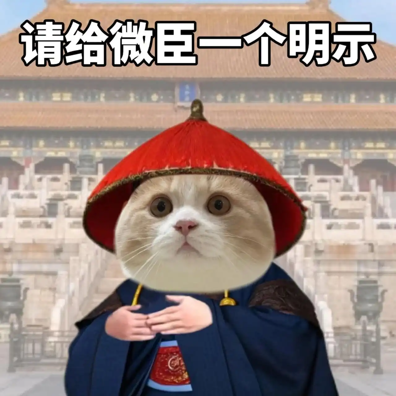 表情包 | 和领导沟通必备表情包