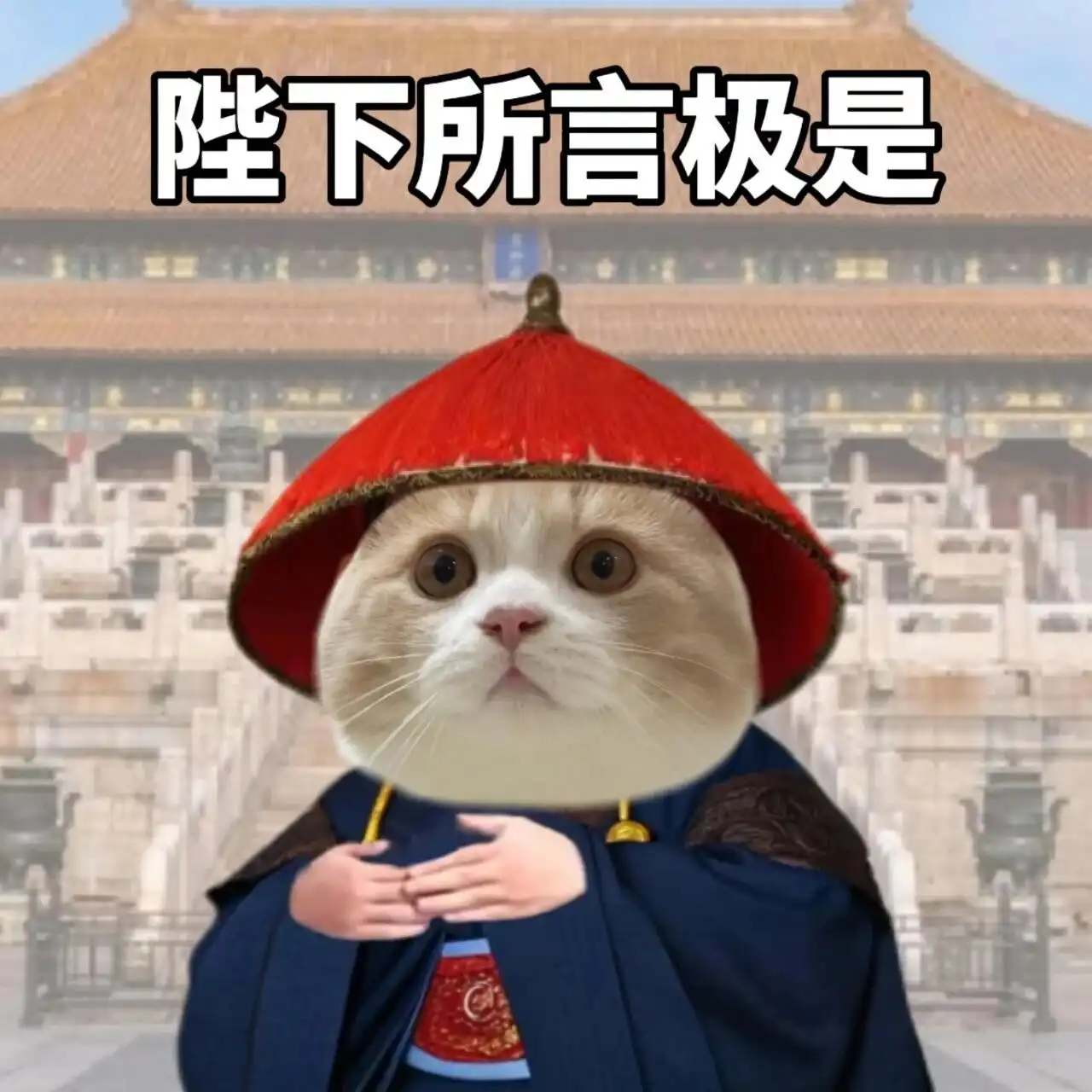 表情包 | 和领导沟通必备表情包