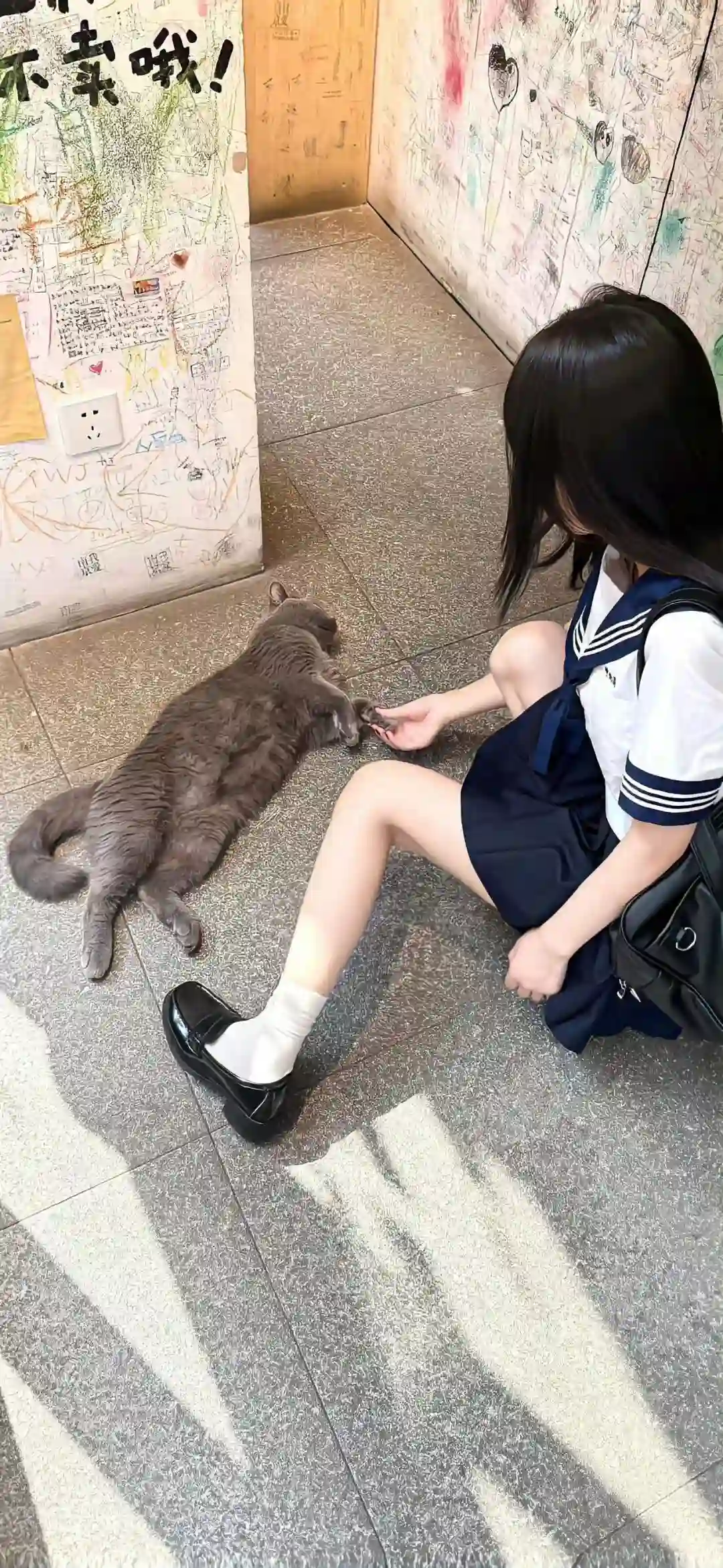 壁纸 ​​​​​​​​​​​​​| 手机壁纸8K超清画质