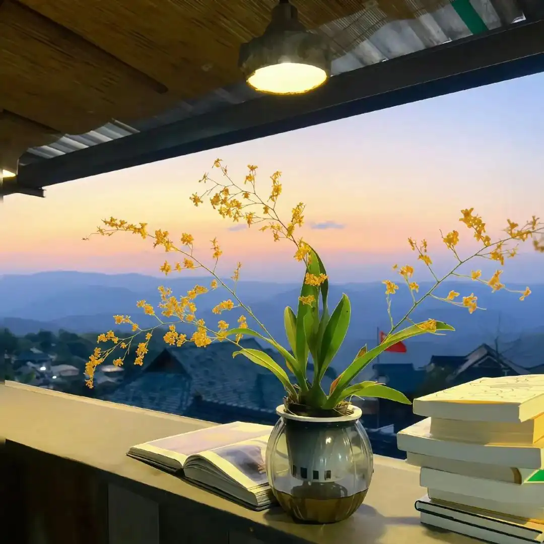 背景图 | 一些高级背景图
