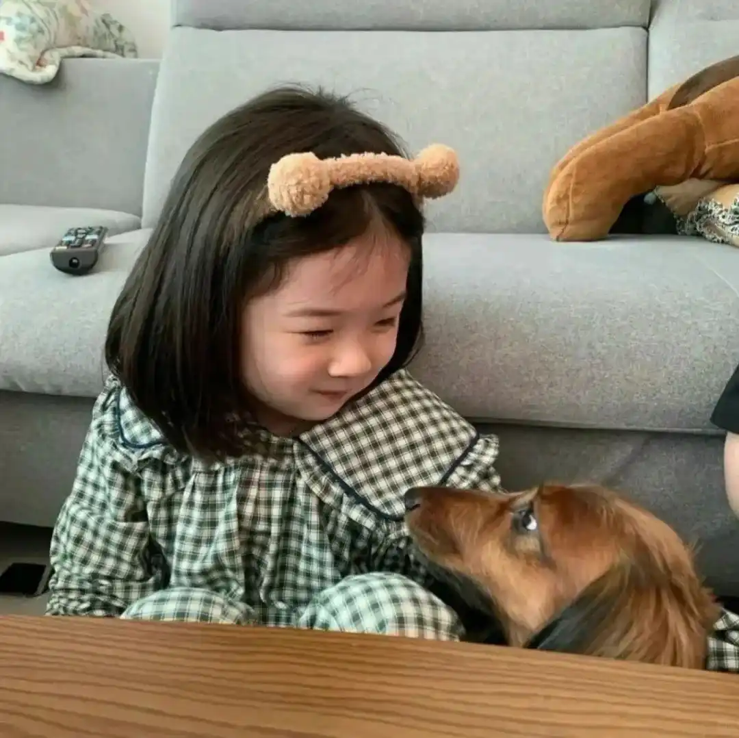 头像 | 幼崽头像
