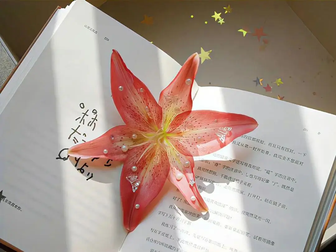 壁纸 ​​​​​​​​​​​​​| 手机壁纸8K超清画质