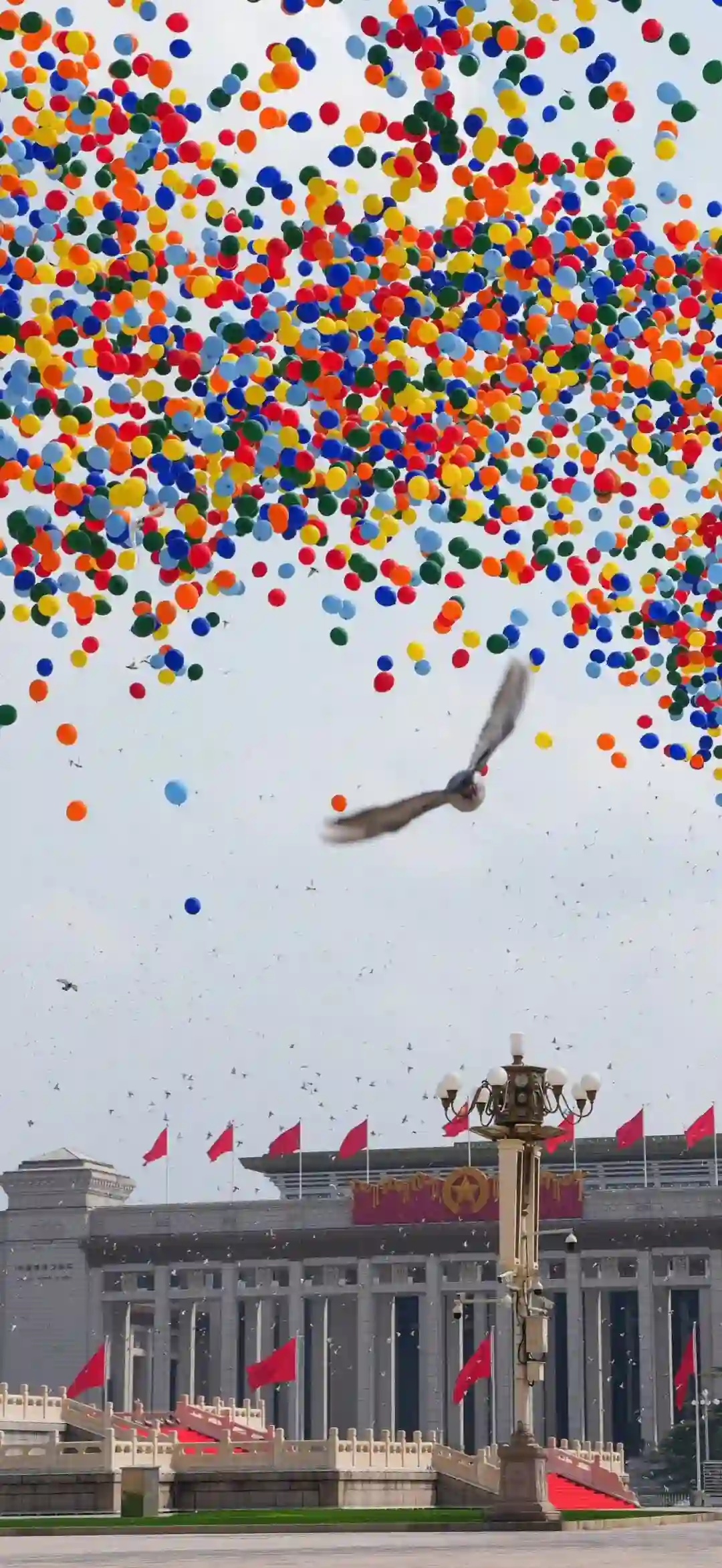 壁纸 ​​​​​​​​​​​​​| 4k高清全屏壁纸