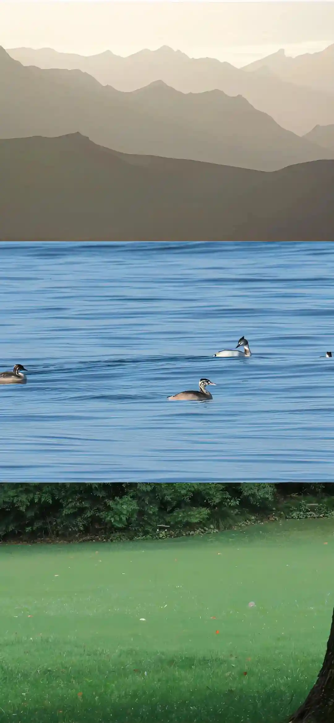 壁纸 ​​​​​​​​​​​​​| 4k高清全屏壁纸