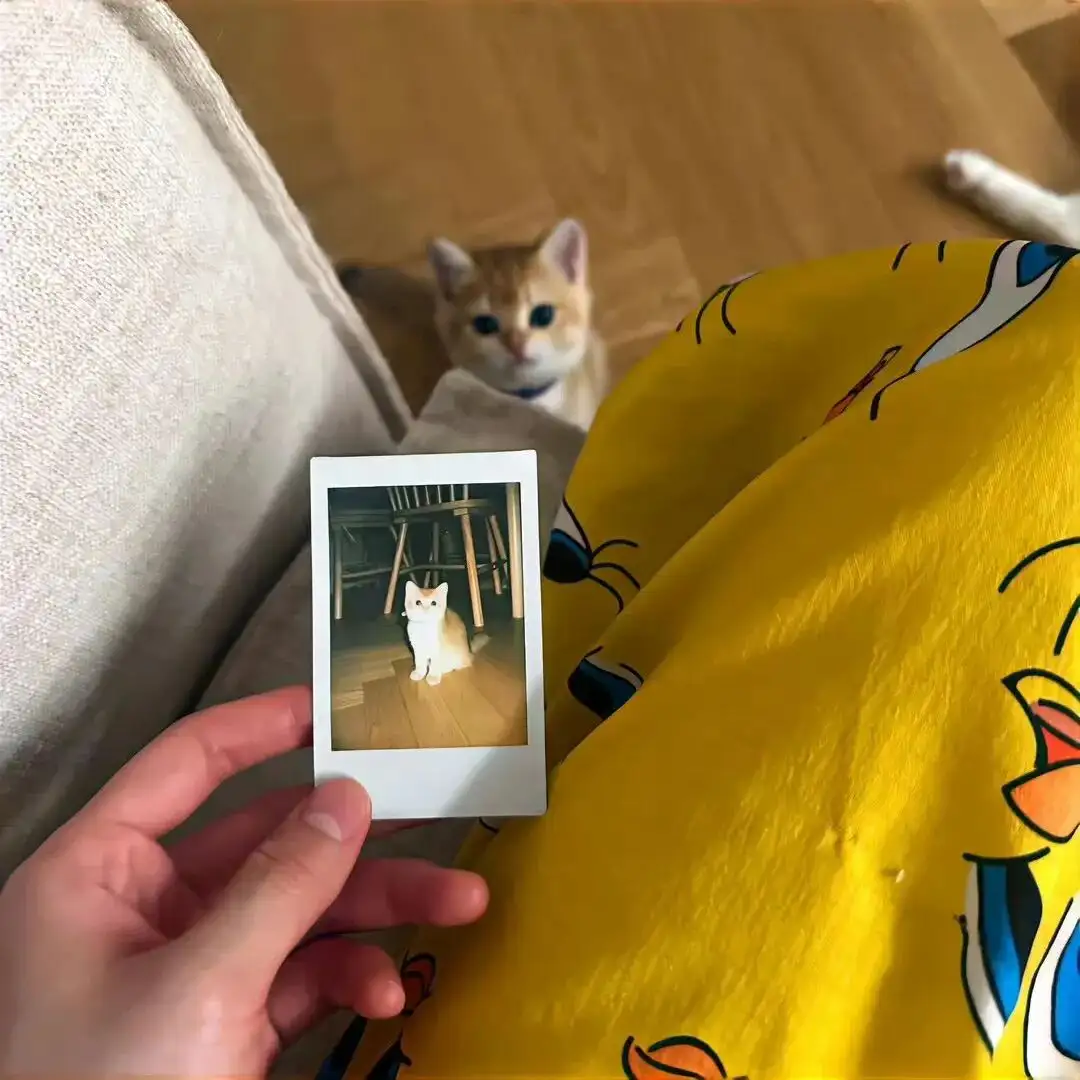 ่ๆฏๅพ | ๐พ๐๐ช๐๐๐่ๆฏๅพ