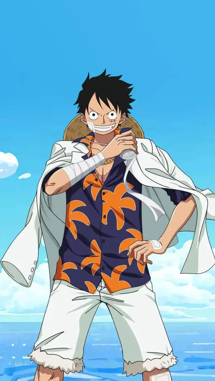 壁纸 | 海贼王壁纸