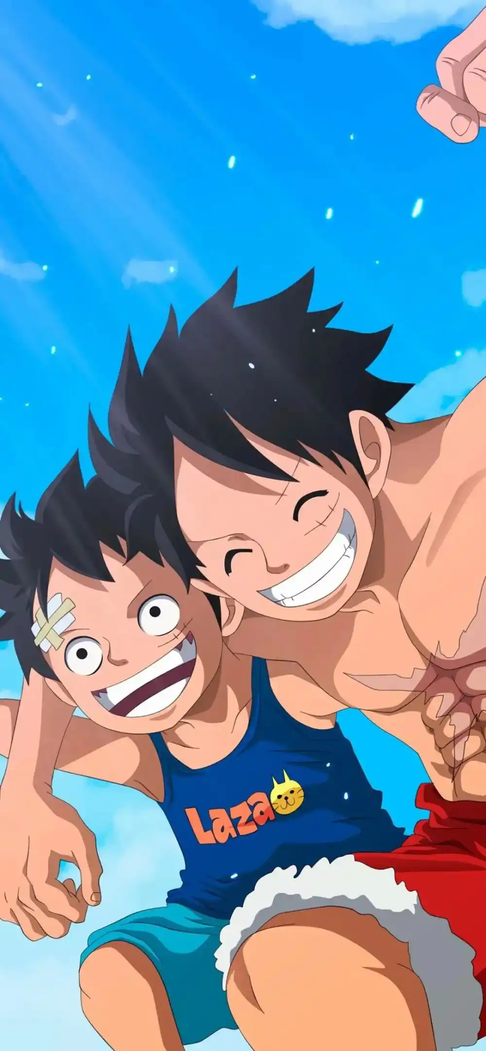 壁纸 | 海贼王壁纸