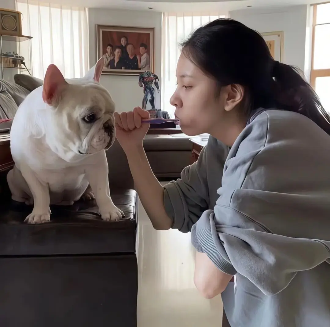 头像｜看一眼就忍不住想换的头像