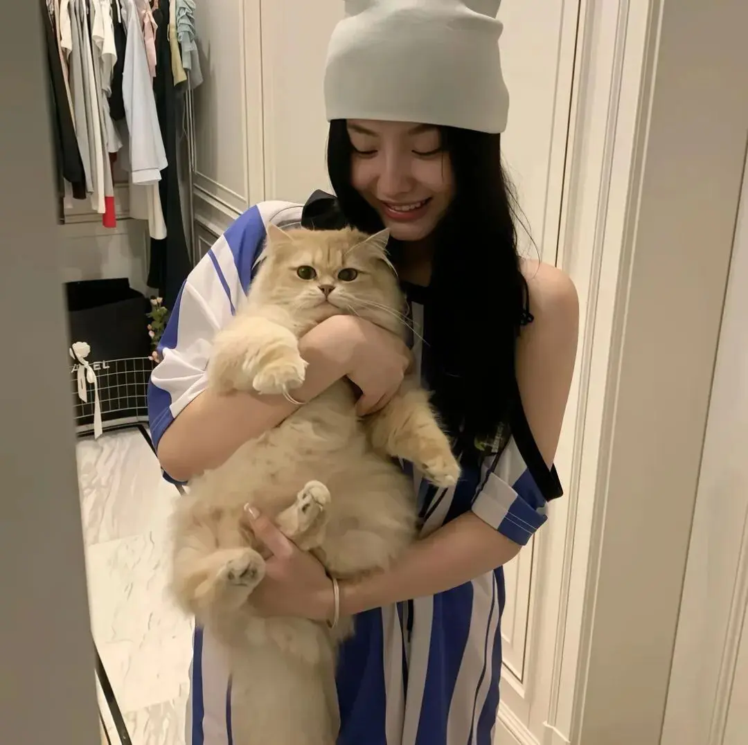 头像｜看一眼就忍不住想换的头像