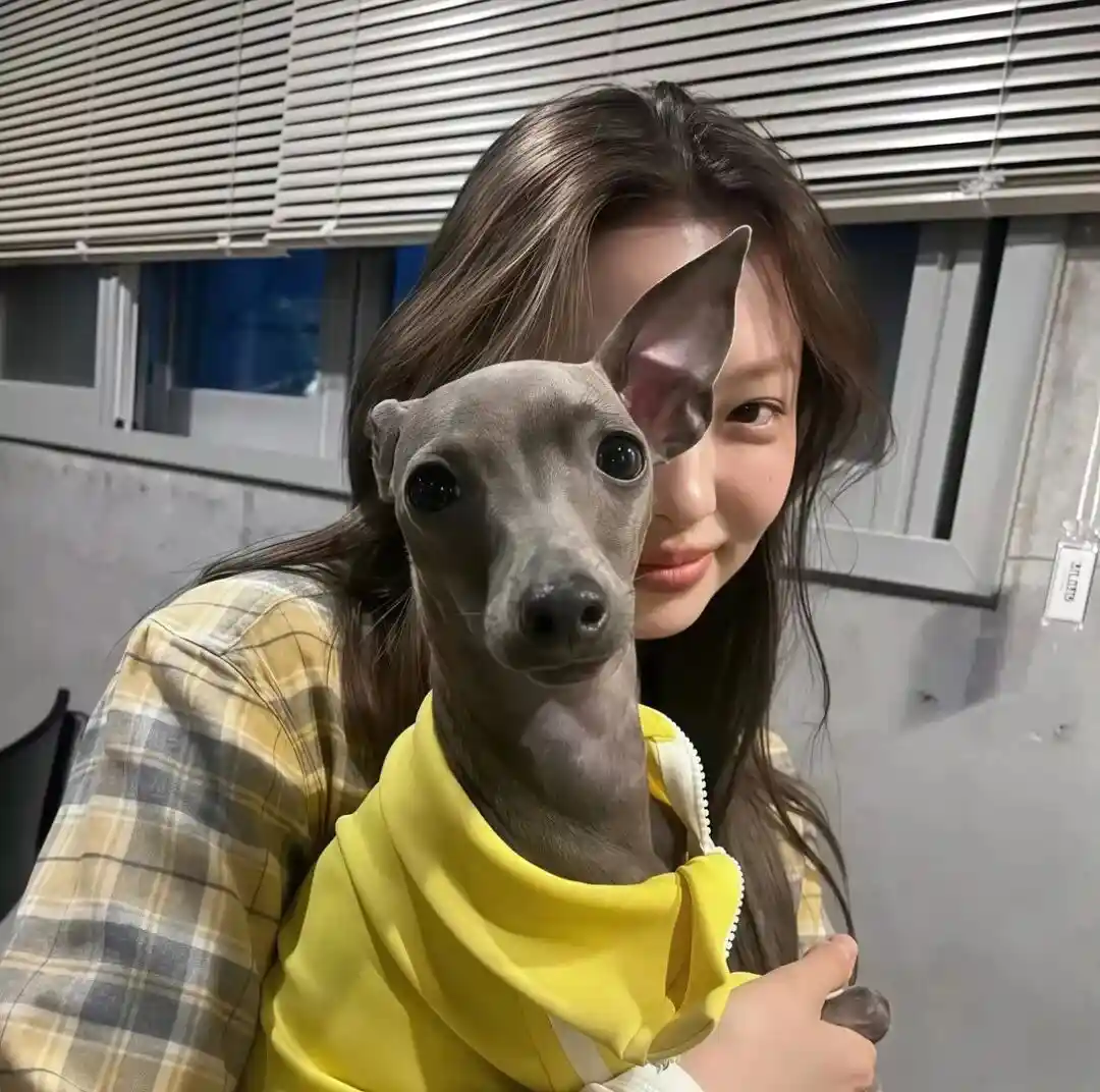 头像｜看一眼就忍不住想换的头像