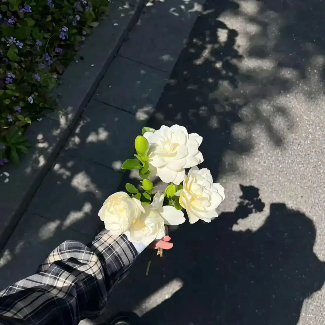 背景图 | 高级背景图