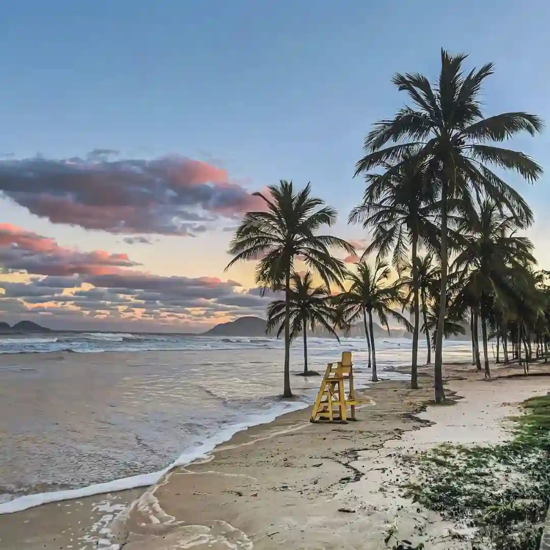 背景图 | 高级背景图