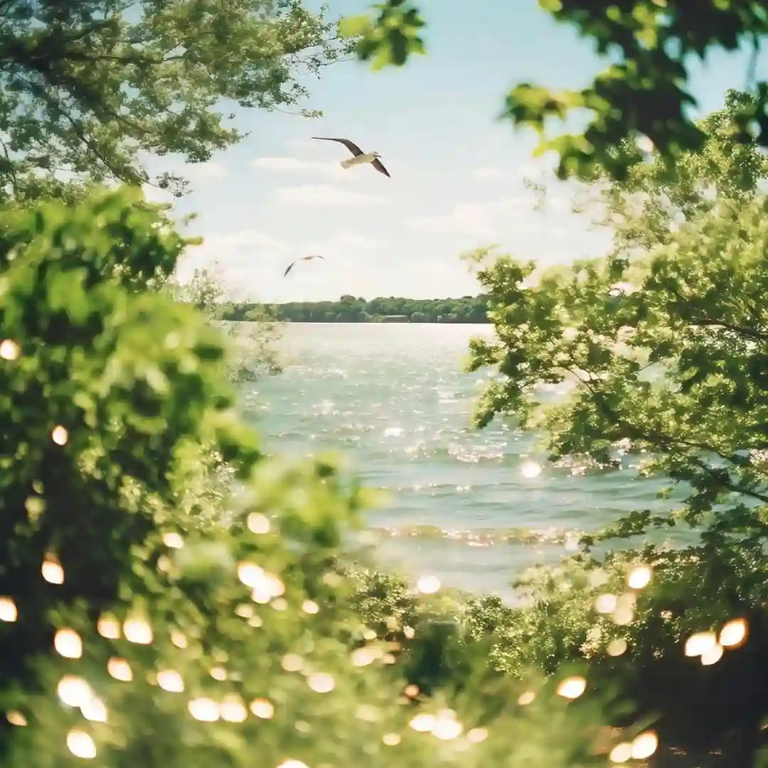 背景图 | 高级背景图