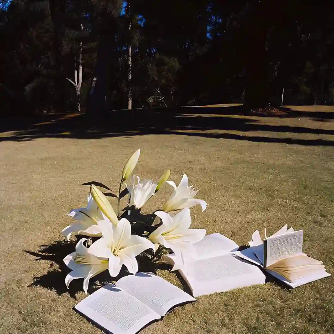 背景图 | 高级背景图