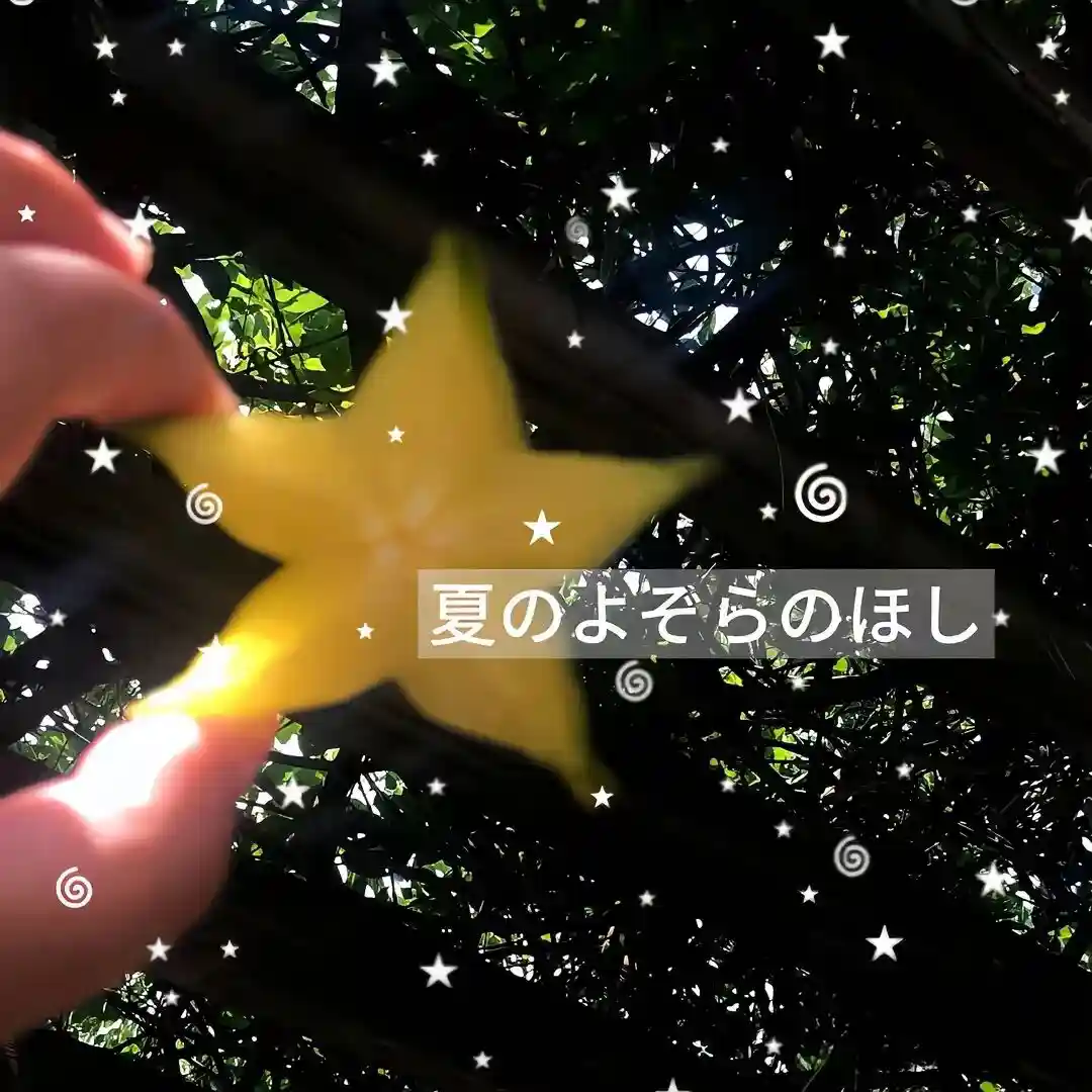 背景图 | 高级背景图