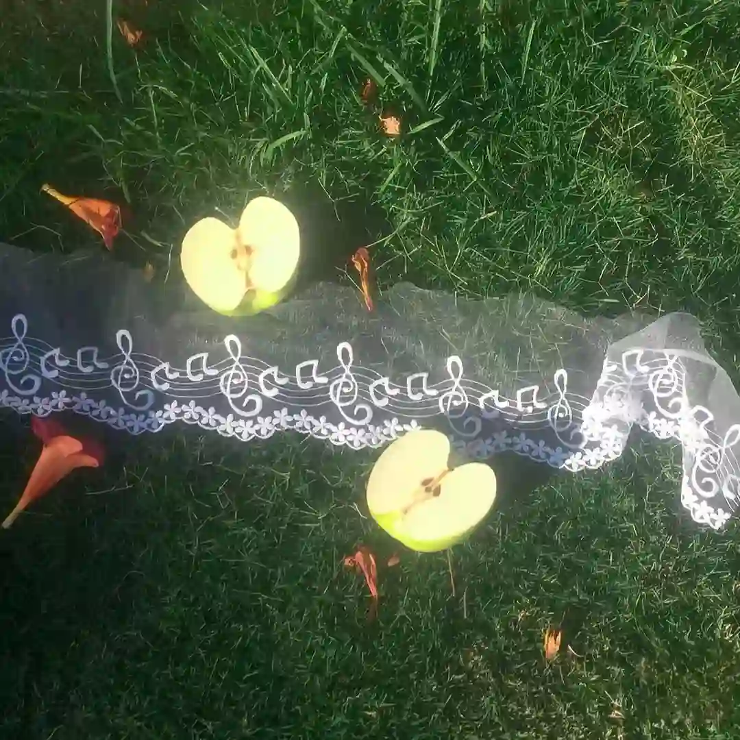 背景图 | 高级背景图