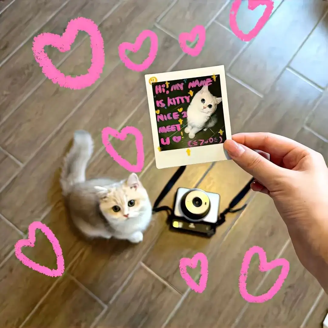 背景图 | 高级背景图